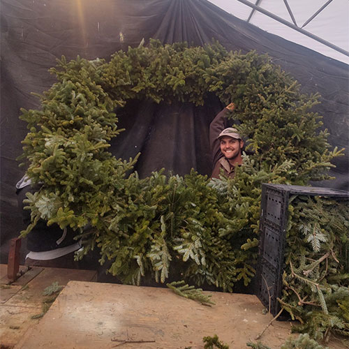 Choose and cut or balled Christmas Trees at Jones Family Farm Market, Edgewood, Harford County, and Greater Baltimore, Maryland. 