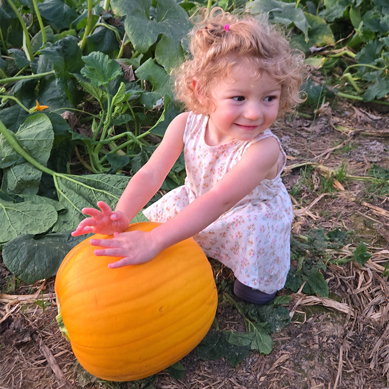 A young girl posing with a pumpkin in the pumpkin patch